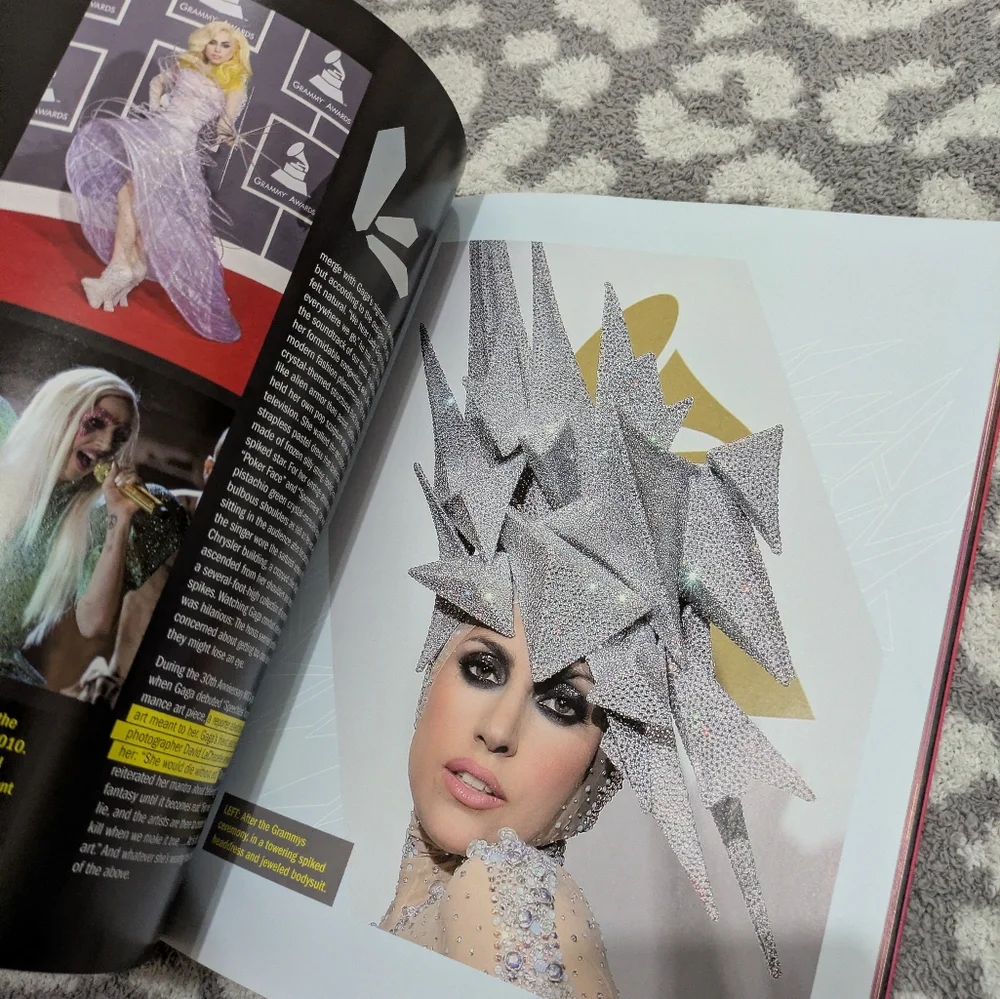 Lady Gaga Book Duo - Picture 9 of 10